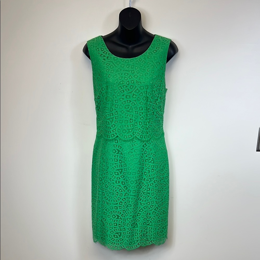 Antonio Melani Chic Green Lace Sleeveless Dress with Eyelash trim Size 12